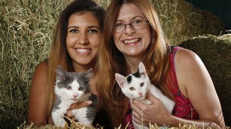 Braeside rescue group hopes to rehome cats and kittens on 